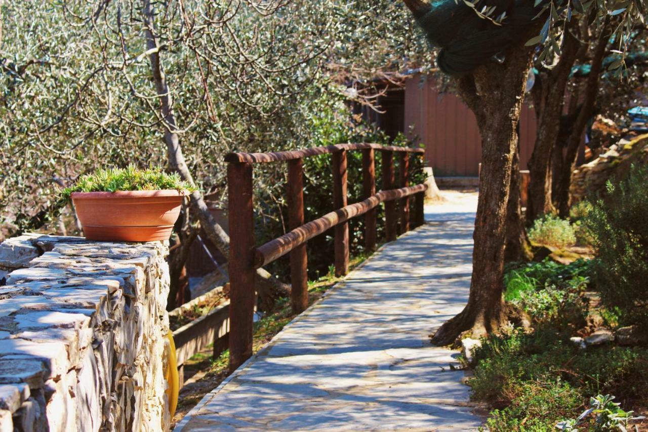 Agri Bed - L'Affittacamere In Collina - Guest Room On The Hill 라바냐 외부 사진
